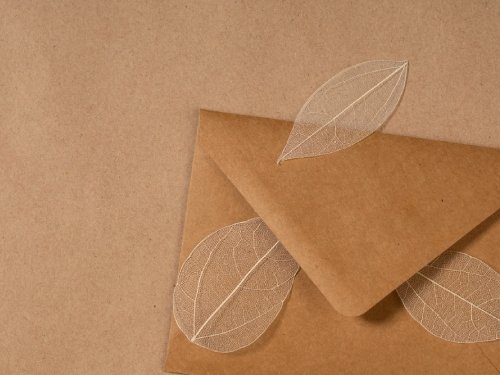 Omnipap Cyprus Products Kraft Papers